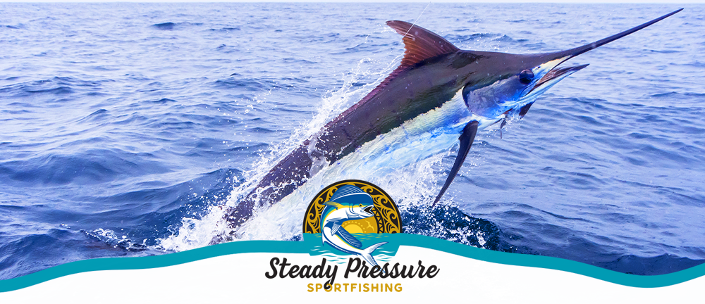 Steady Pressure Maui Sport Fishing