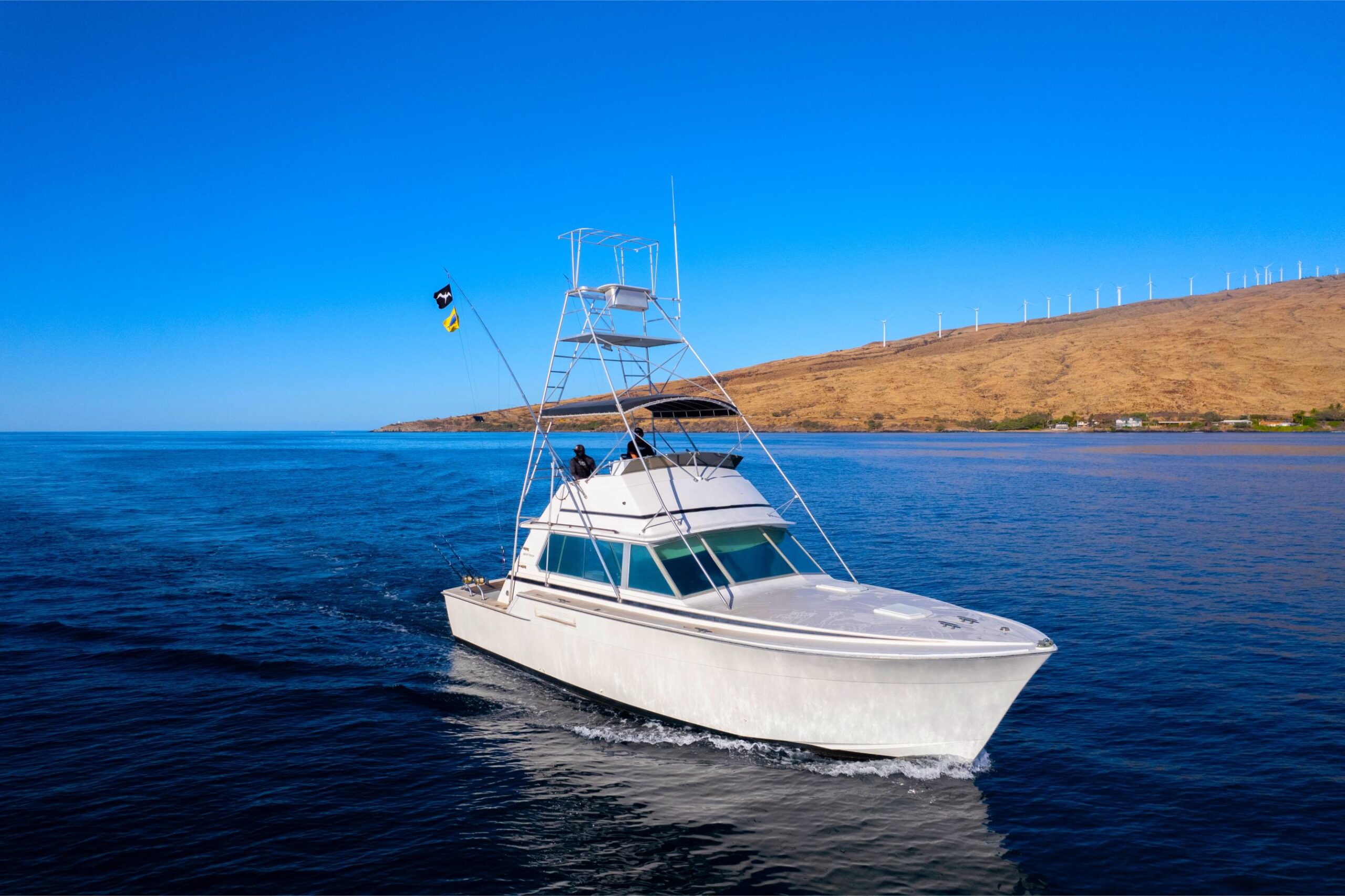 How Much Does It Cost to Go Blue Marlin Fishing?