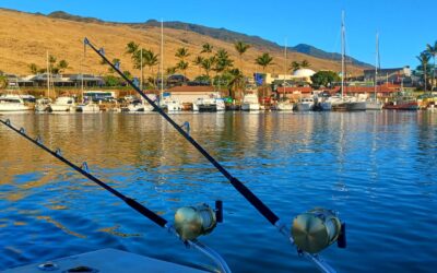 All About Ahi Fishing in Hawaii: Your Guide to a Fantastic Adventure