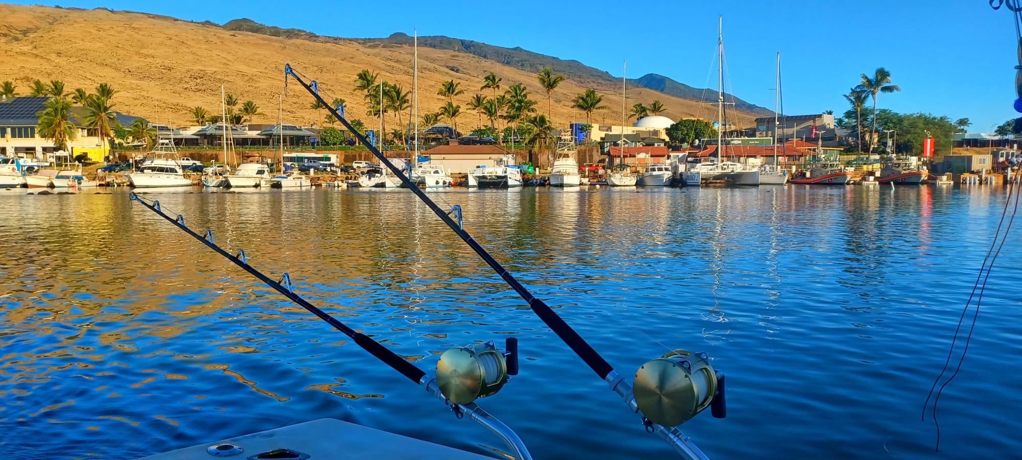 two fishing poles sat out for ahi