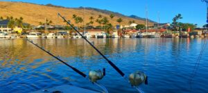 two fishing poles on a fishing boat in maui