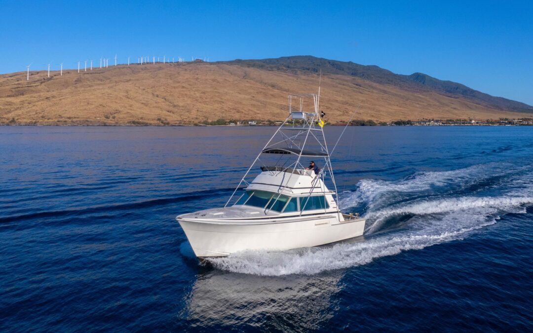 Hooked on Maui: Discovering the Best Marlin Fishing in the World