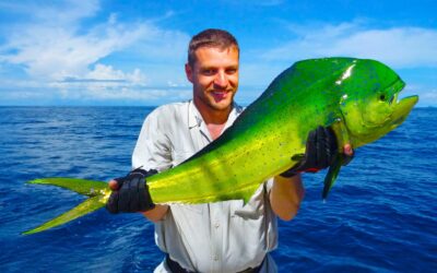 Maui Deep Sea Fishing Seasons: Get to Know Em’